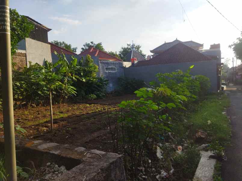 dijual tanah jl saladara gg bakti mulya