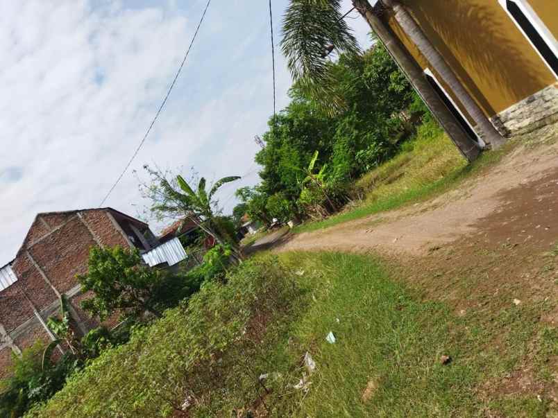 dijual tanah jl saladara gg bakti mulya