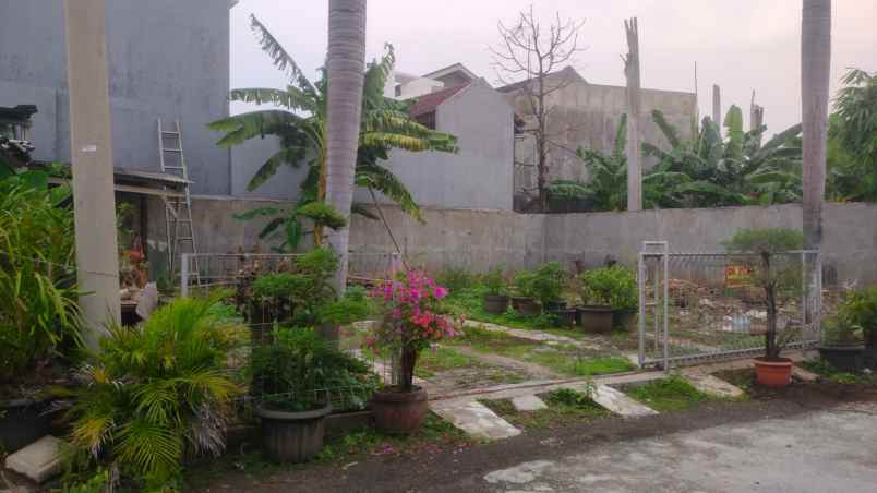 dijual tanah jl waru kp gedong kec ps