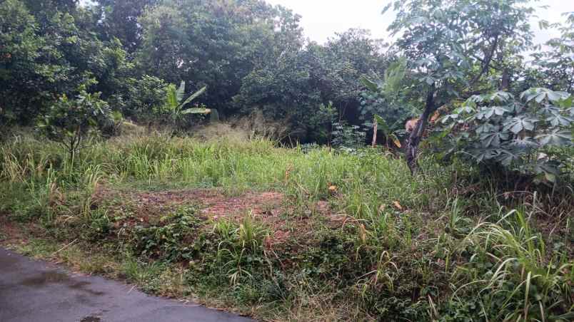 dijual tanah jln parakan tirtamulya