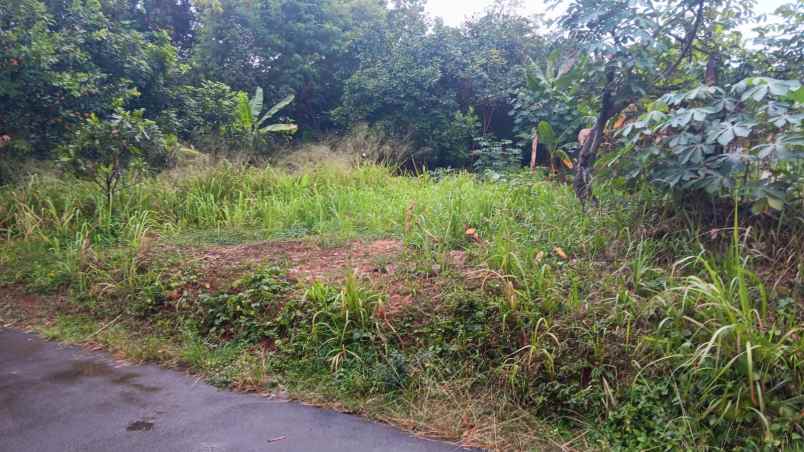 dijual tanah jln parakan tirtamulya