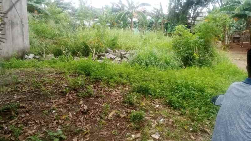 dijual tanah jln secaringin bojong