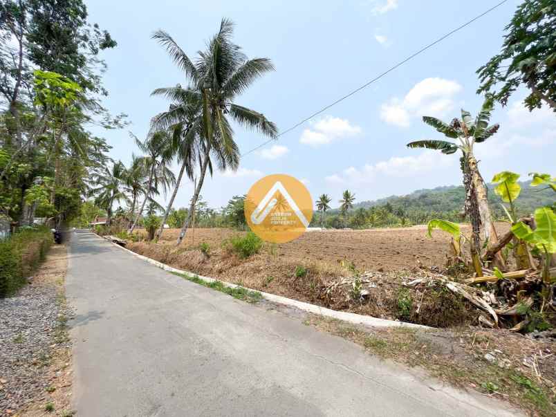 dijual tanah kalirejo salaman magelang