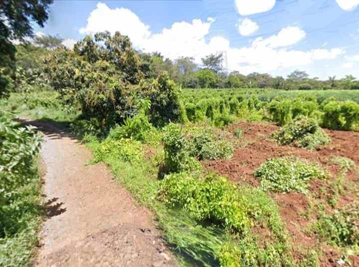 dijual tanah kebun pinggir jl desa akses masuk dumtruk