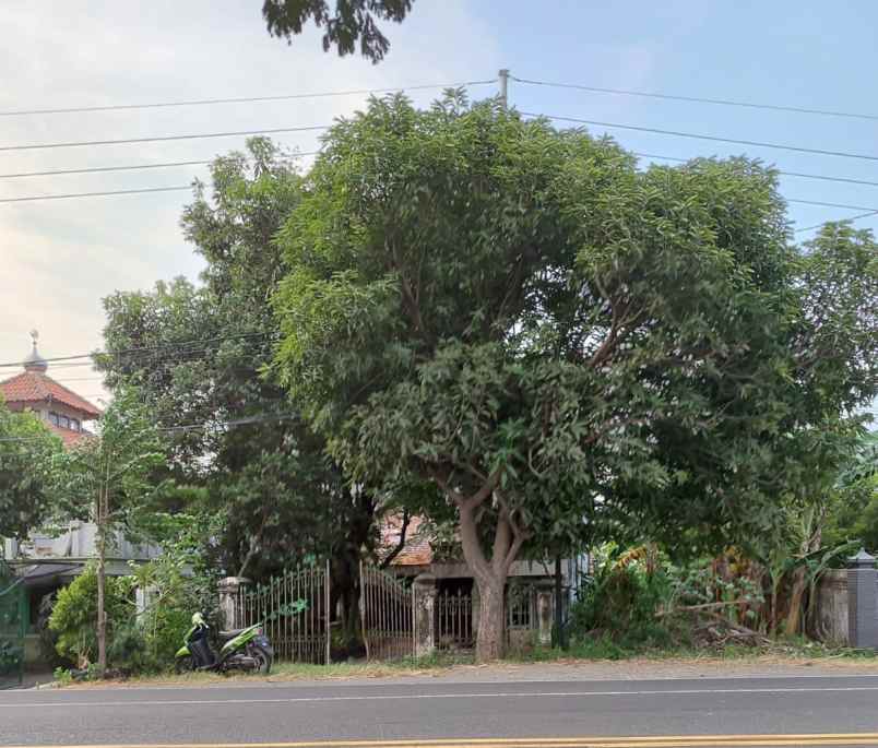 dijual tanah kertosono