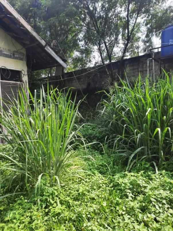 dijual tanah kp kebon duren