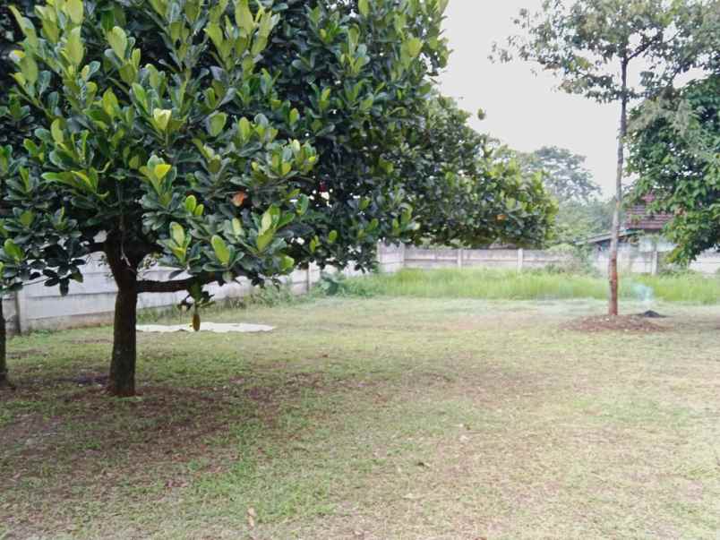 dijual tanah milik pribadi dikalisuren