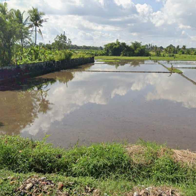 dijual tanah pantai kelating