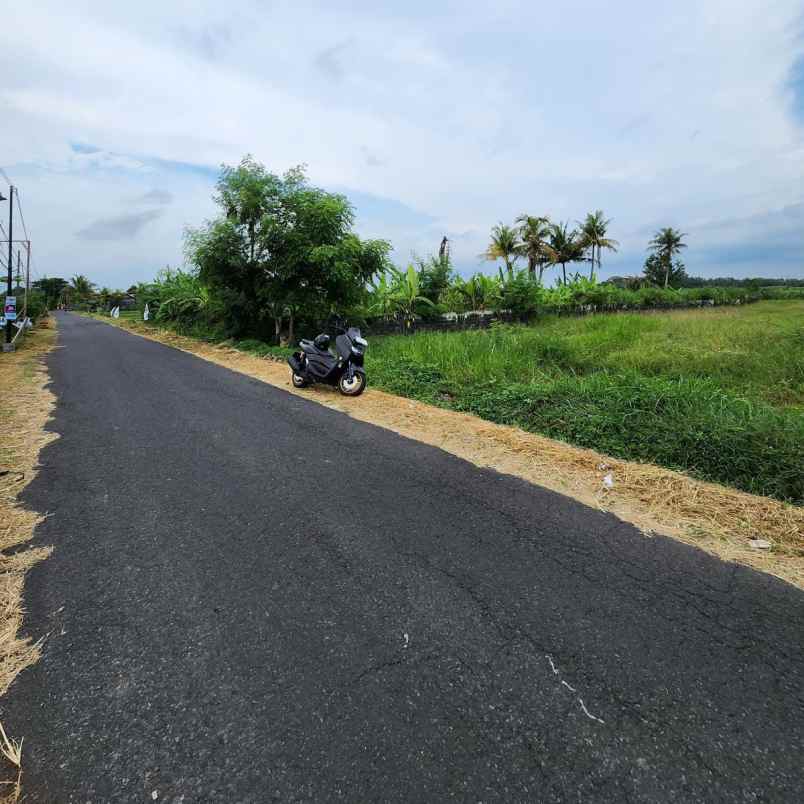 dijual tanah pantai kelating