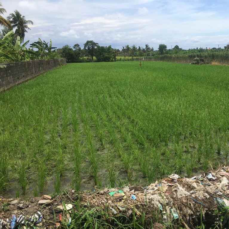 dijual tanah pantai kelating