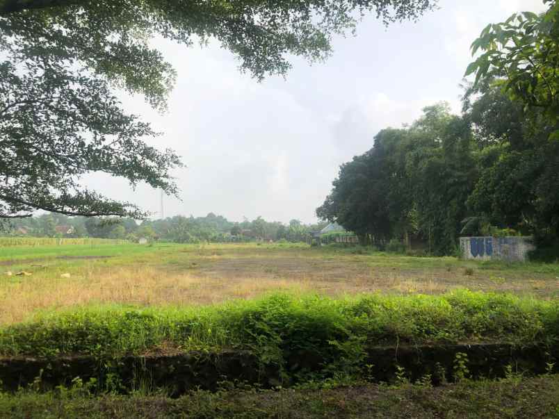 dijual tanah pekarangan di karangan karanganom klaten