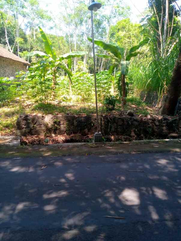 dijual tanah pekarangan karangnongko