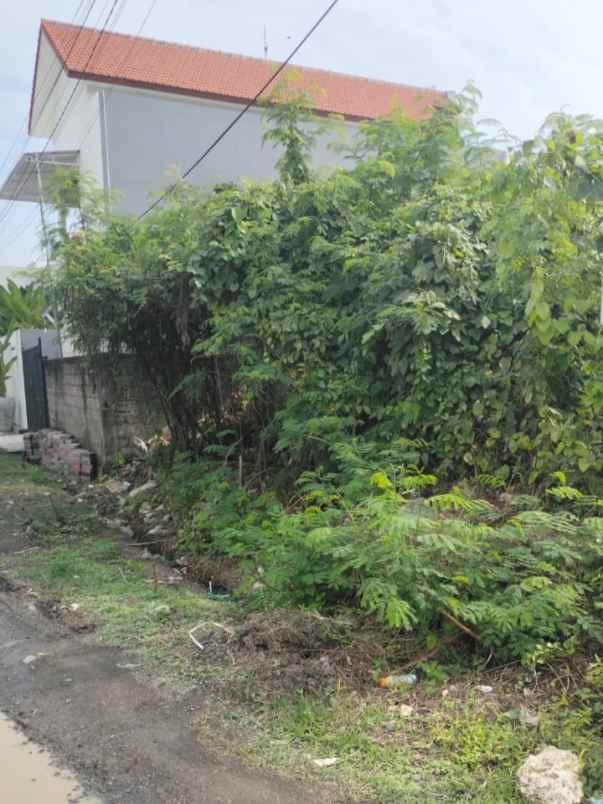 dijual tanah penaron