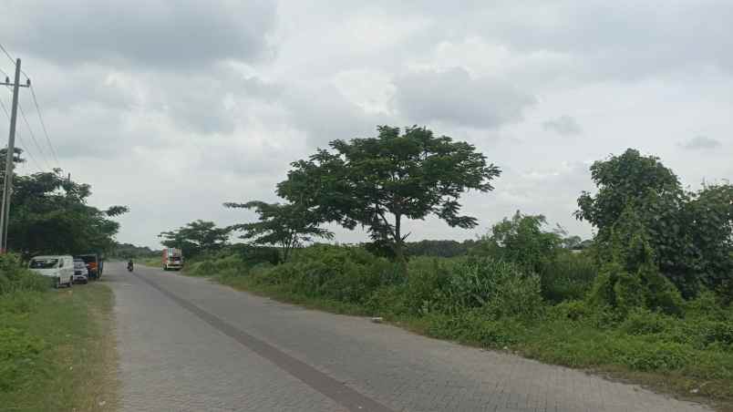 dijual tanah romokalisari surabaya