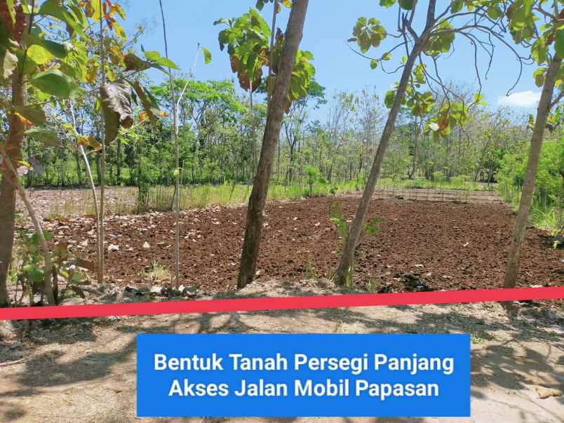 dijual tanah semanu