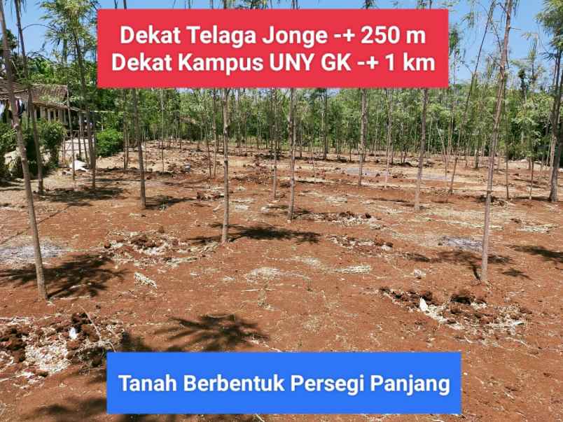 dijual tanah semanu