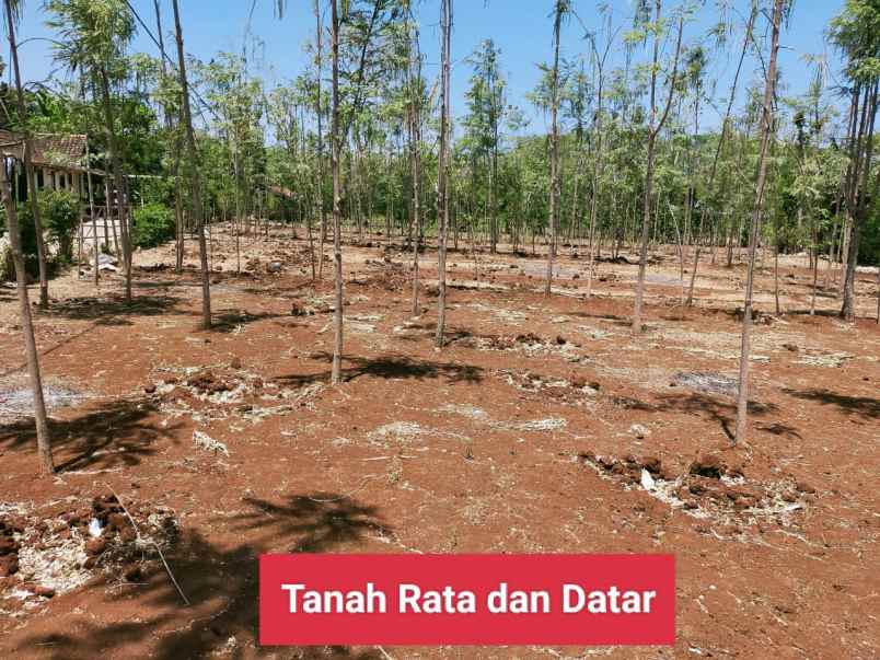 dijual tanah semanu