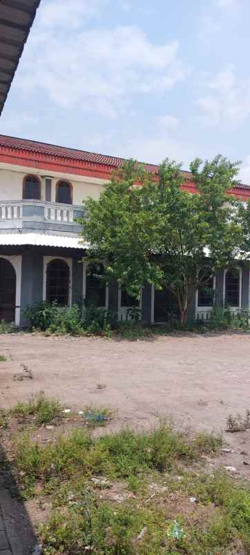 dijual tanah semut