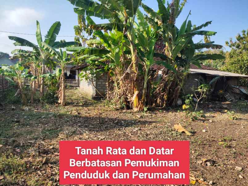 dijual tanah siyono