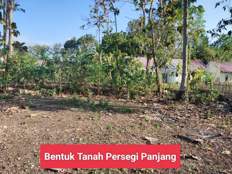 dijual tanah siyono