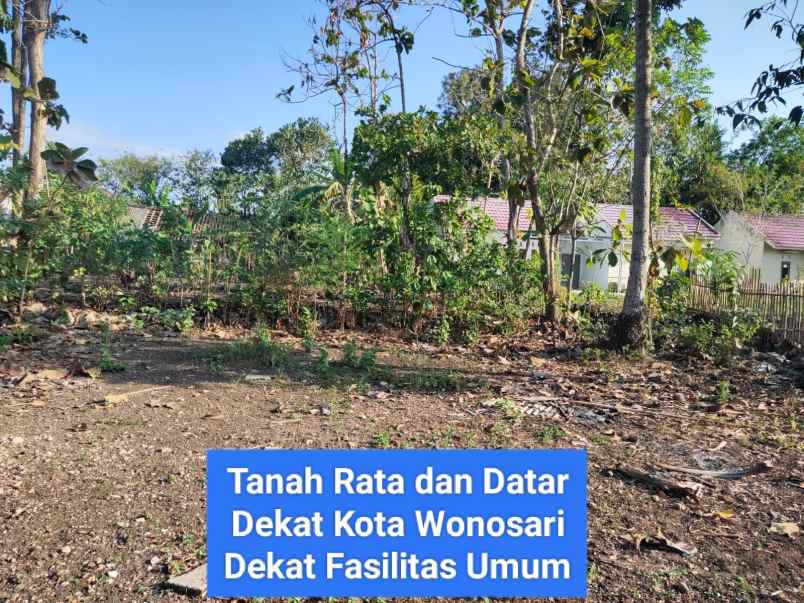 dijual tanah siyono