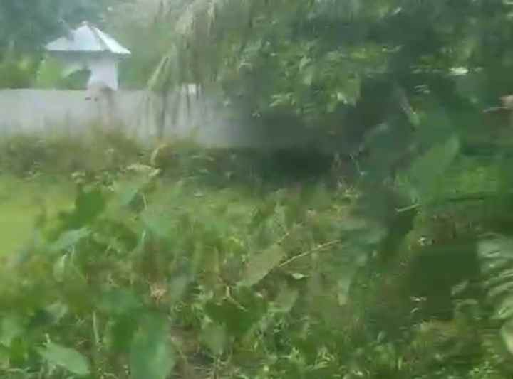 dijual tanah sudah ada kolam dan ada kebun nya