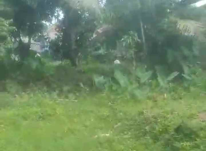 dijual tanah sudah ada kolam dan ada kebun nya