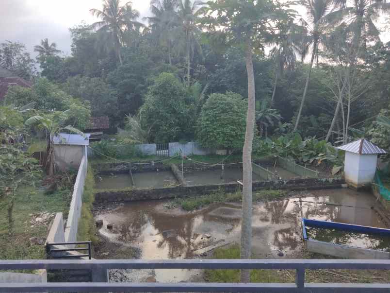 dijual tanah sudah ada kolam dan ada kebun nya