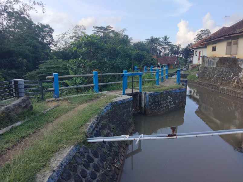 dijual tanah sudah ada kolam dan ada kebun nya