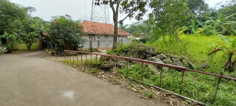 dijual tanah sukabungah bojongmangu