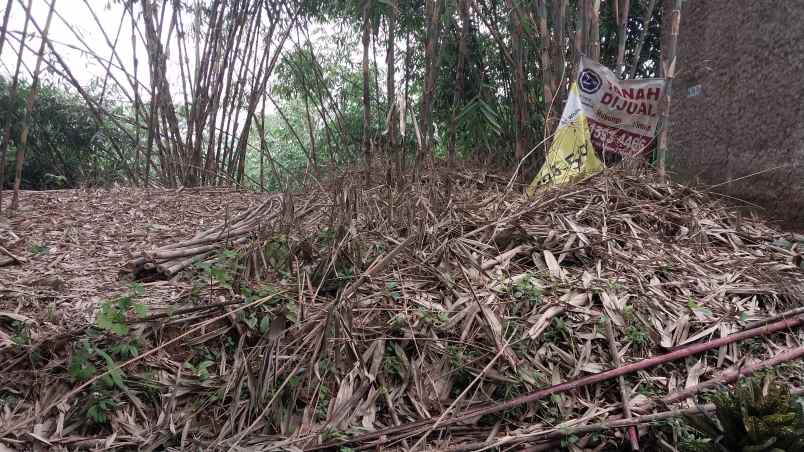 dijual tanah sukabungah bojongmangu