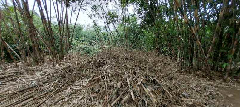 dijual tanah sukabungah bojongmangu