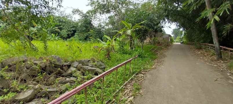 dijual tanah sukabungah bojongmangu