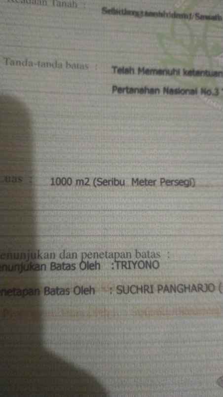 dijual tanah sukabungah bojongmangu