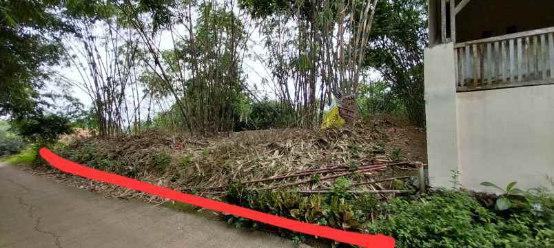 dijual tanah sukabungah bojongmangu