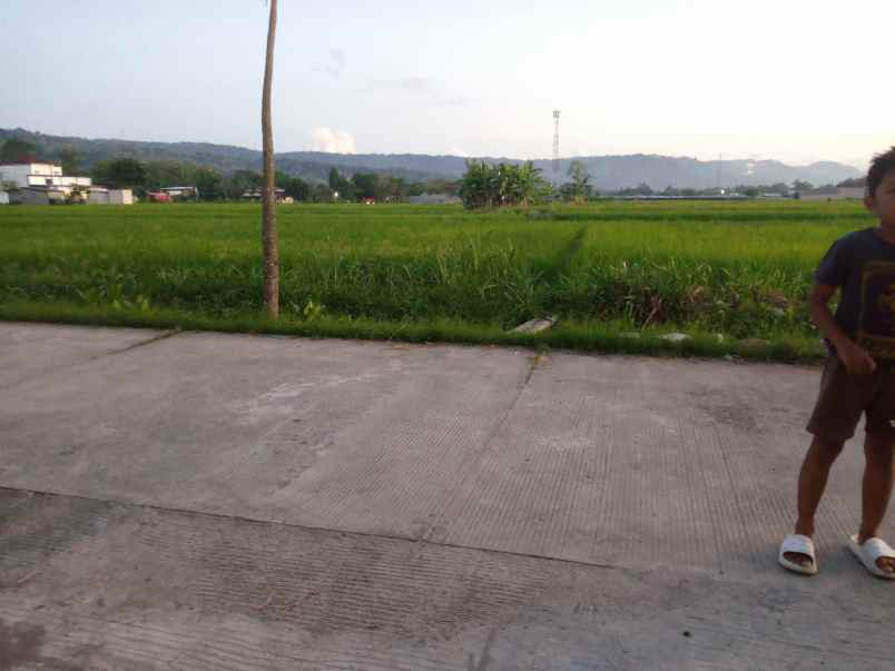 dijual tanah sumberharjo prambanan