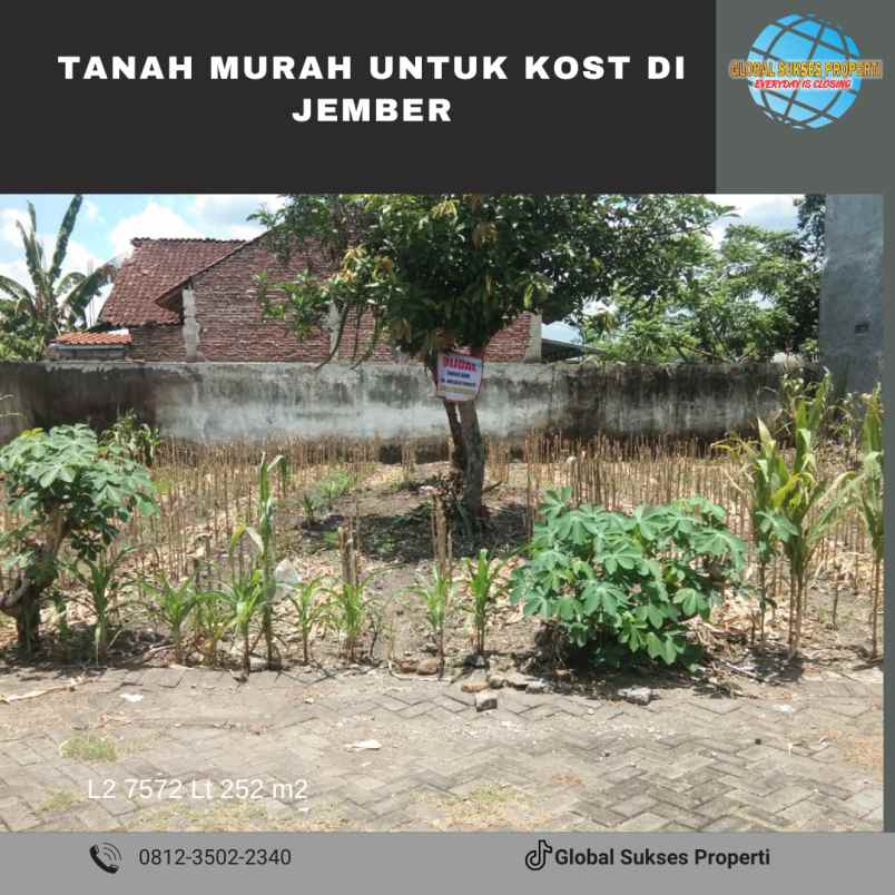 dijual tanah sumbersari