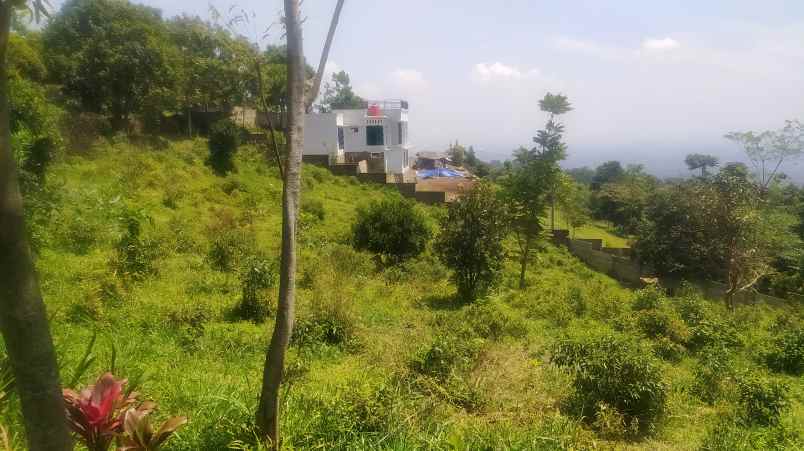 dijual tanah tajur halang cijeruk