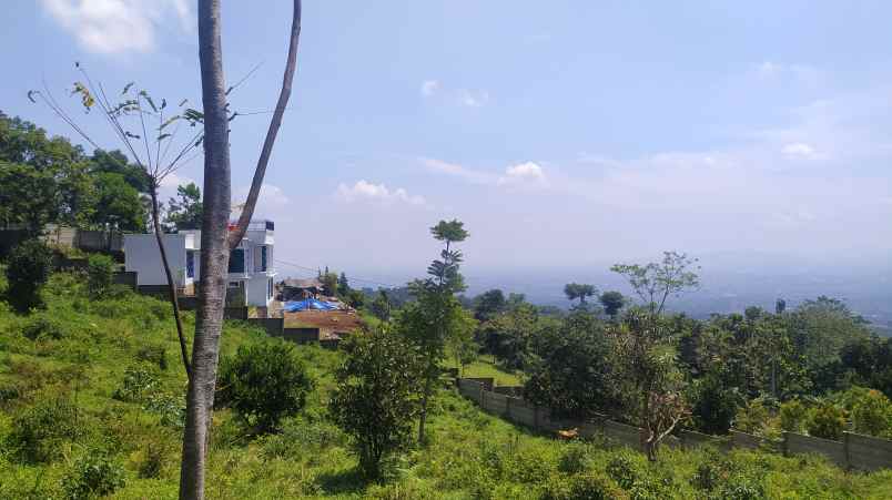 dijual tanah tajur halang cijeruk