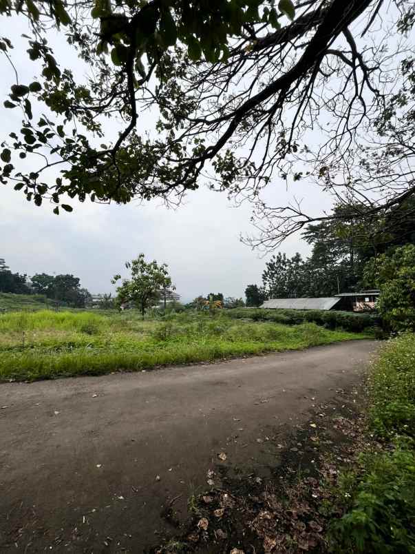 dijual tanah tangkil kec citereup