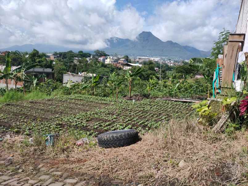 dijual tanah terabasan temas pandan