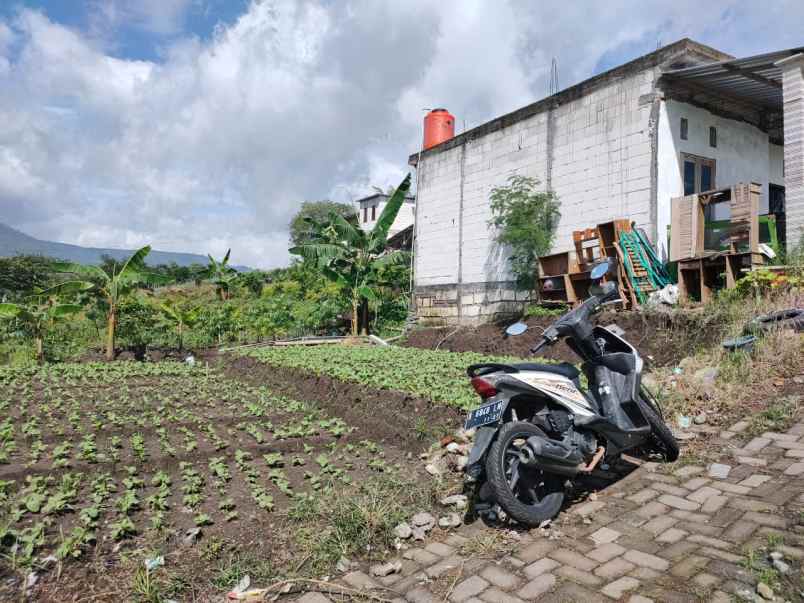 dijual tanah terabasan temas pandan