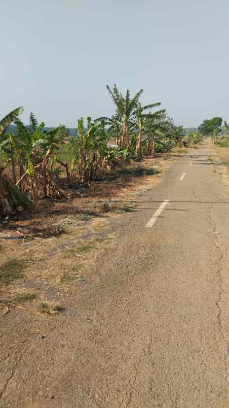 dijual tanah zona kuning subang