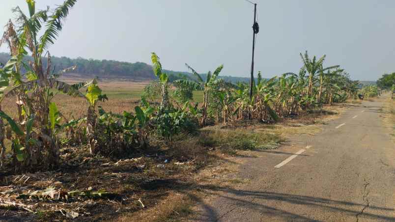 dijual tanah zona kuning subang