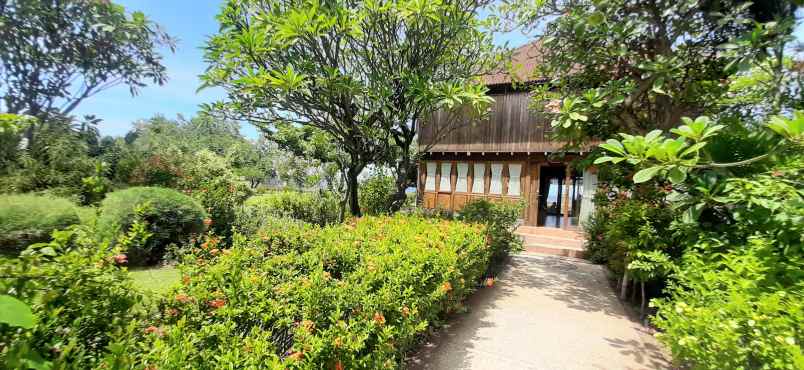 dijual vila dgn pasilitas modern di lovina