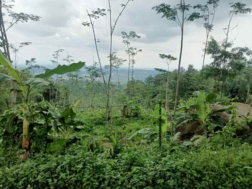 dijual villa gunung pancar babakan madang