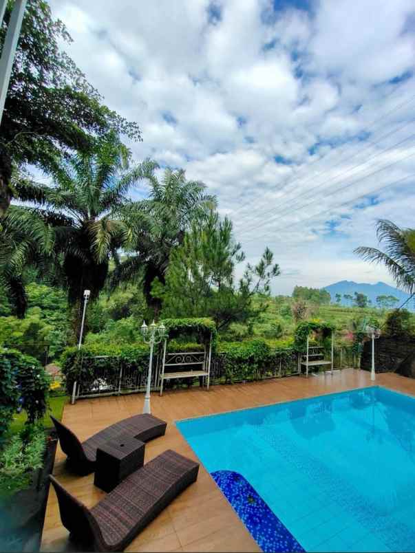 dijual villa pertanian