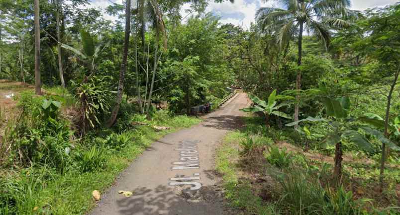 jual cepat kebun karet dan kelapa di surade sukabumi