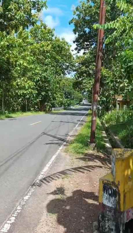 jual tanah di daerah piyaman wonosari yogyakarta