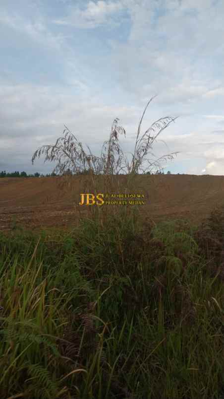 jual tanah kosong di desa parbaba martoba kab samosir